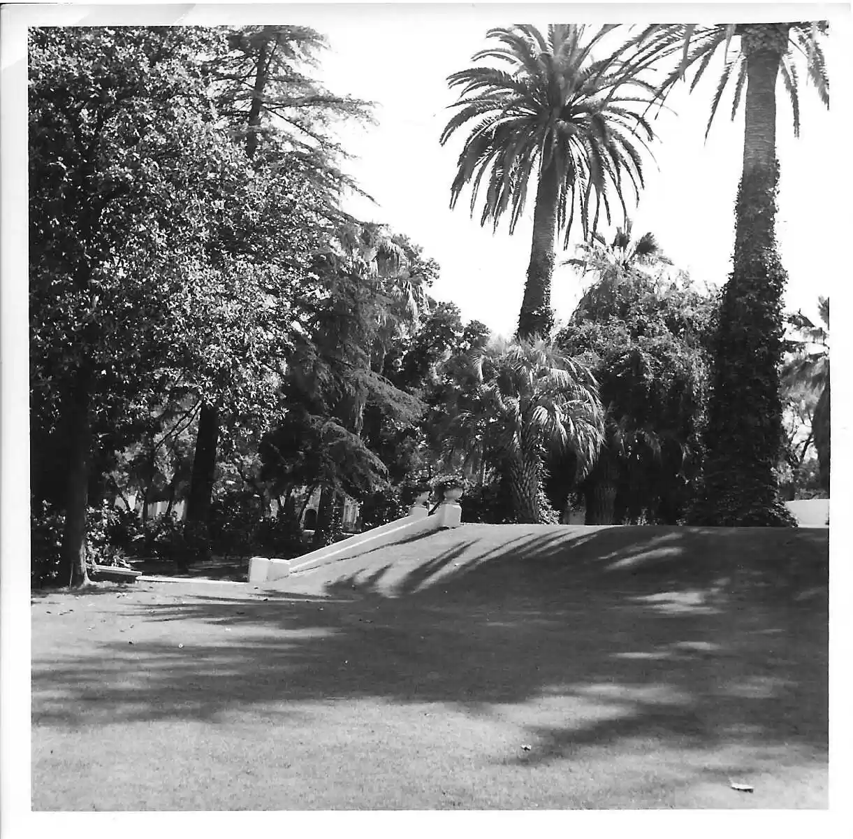 GROUNDS OF EARLY AMBASSADOR